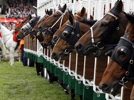 New Zealand Horse Racing Stables Appeal to Stay Open Amid Global Health Crisis